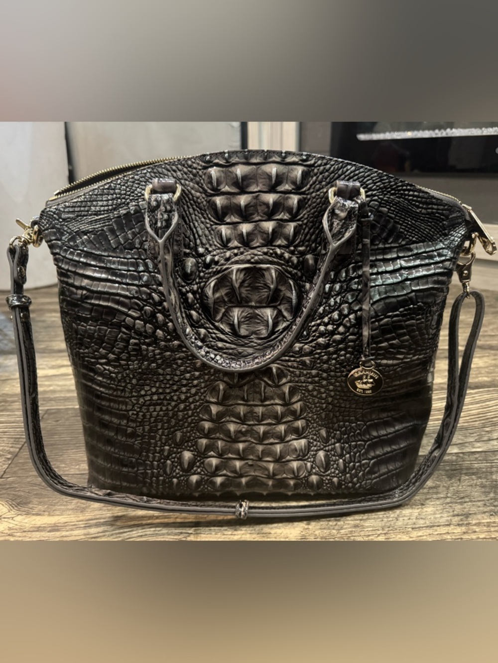 Brahmin Lg Dux in Nocturnal Melbourne